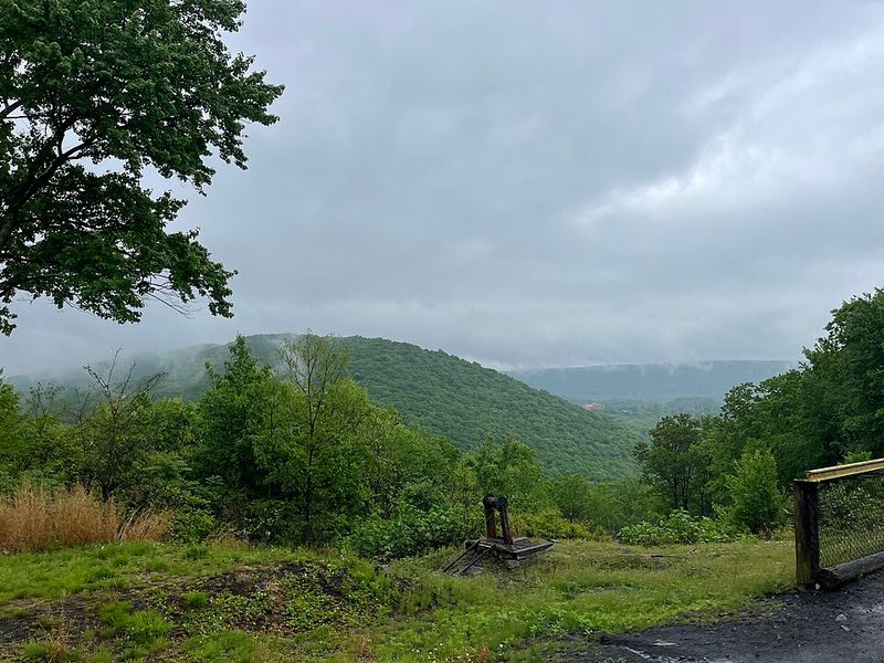 Taking Scenic Train Rides Through Fall Foliage