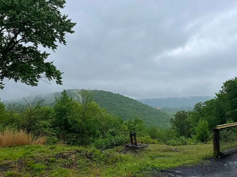 Taking Scenic Train Rides Through Fall Foliage