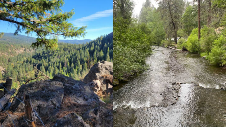 One of Oregon’s least-visited state parks sits in a canyon with quiet trails, camping, and mountain views