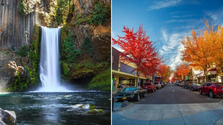 Oregon’s former timber capital has taken on a new life as a forest gateway with river trails and local breweries