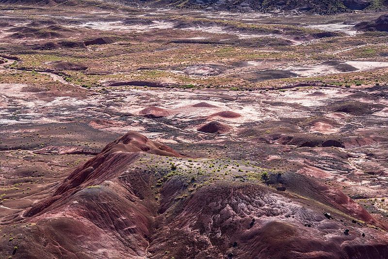 Petrified Forest National Park, Arizona