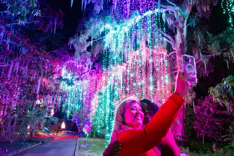 Leu Gardens Holiday Stroll