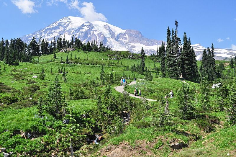 Seasonal Wonders and Natural Phenomena