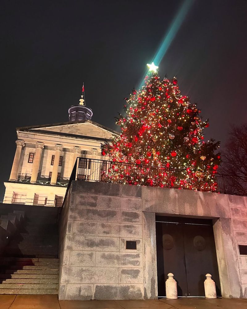 Metro and City Tree-Lightings