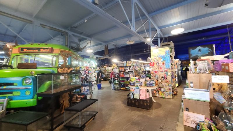 Insider Tips: Hours, Deals, and Etiquette