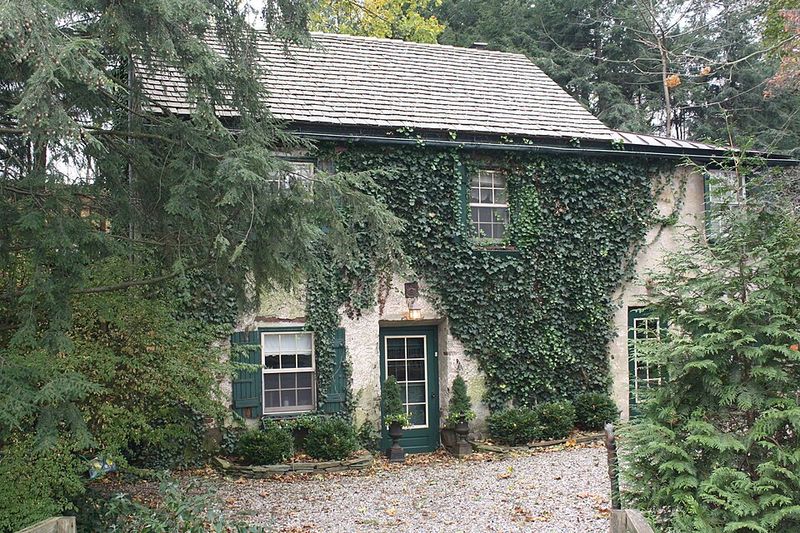 Enchanting Conclusion