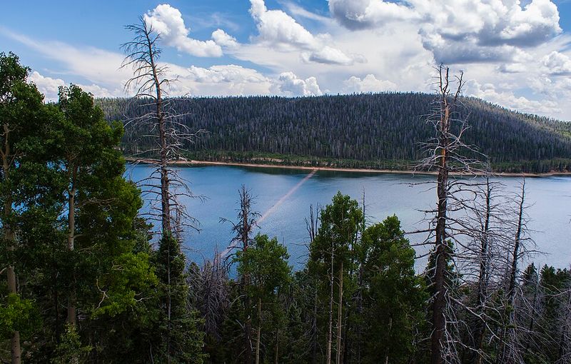 Brian Head / Duck Creek, Utah