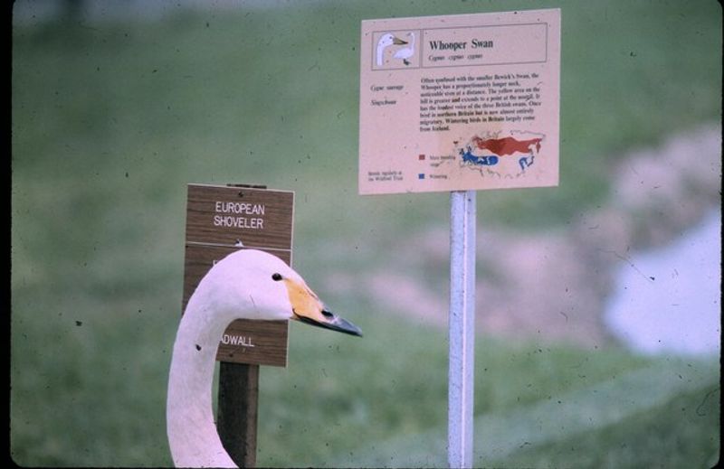 Feeding wildlife in national parks