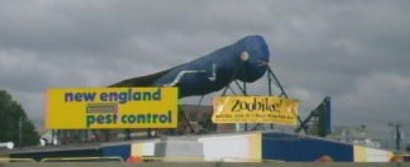 Rhode Island – Nibbles Woodaway