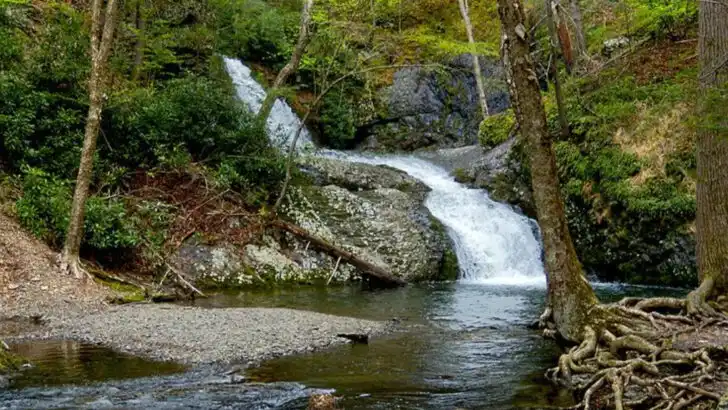 Pennsylvania’s Overlooked Mountain Town Offers Some of the State’s Most Enjoyable Waterfall Walks and Mountain Views