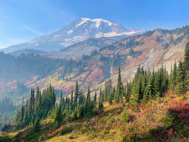 A Symbol of Washington's Natural Heritage