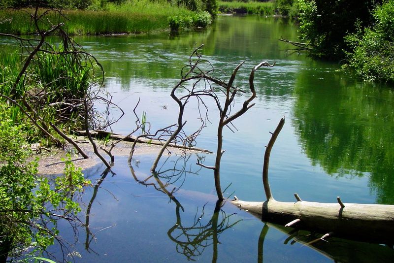 River Kayaking & Canoeing