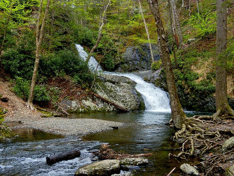 Pocono Environmental Education Center Trails