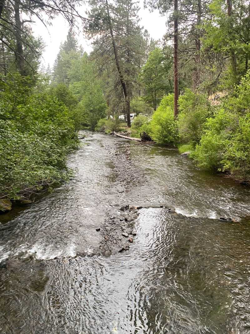 Creek time and easy picnics