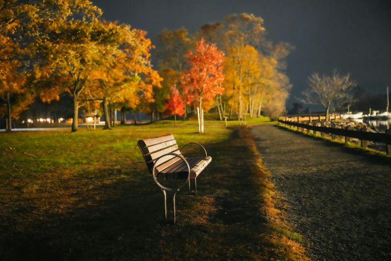 Secret Bench with a View