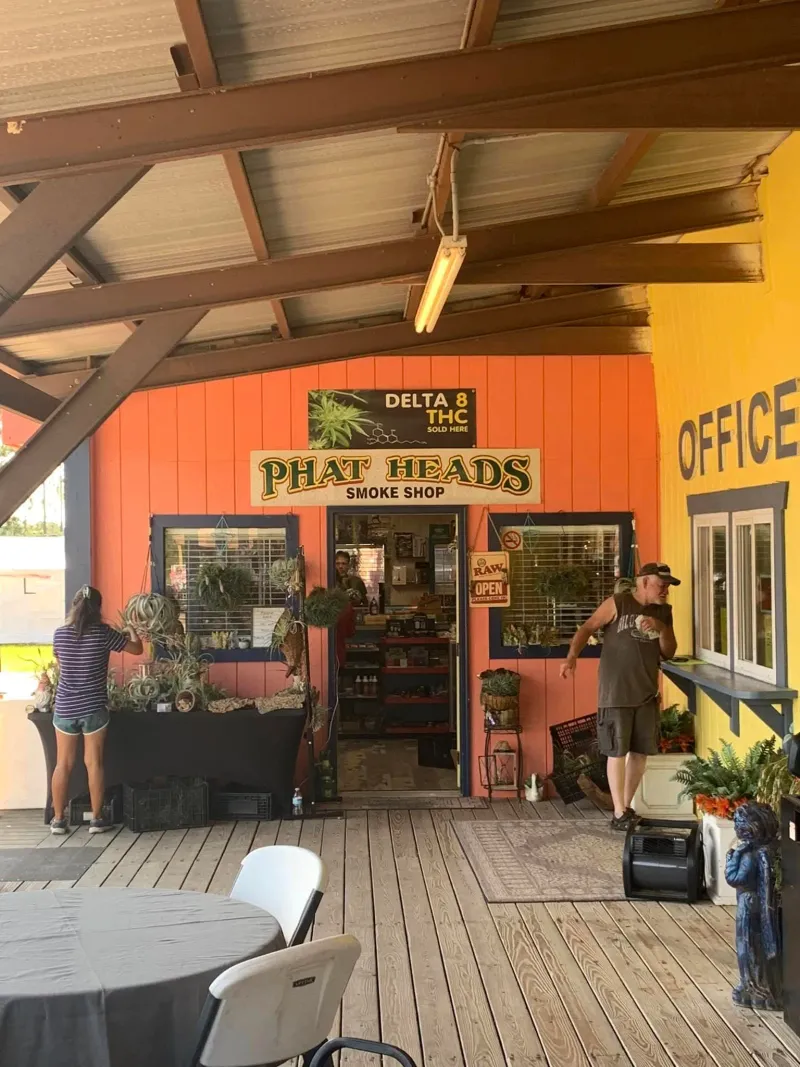 Best Times And Crowd Tips