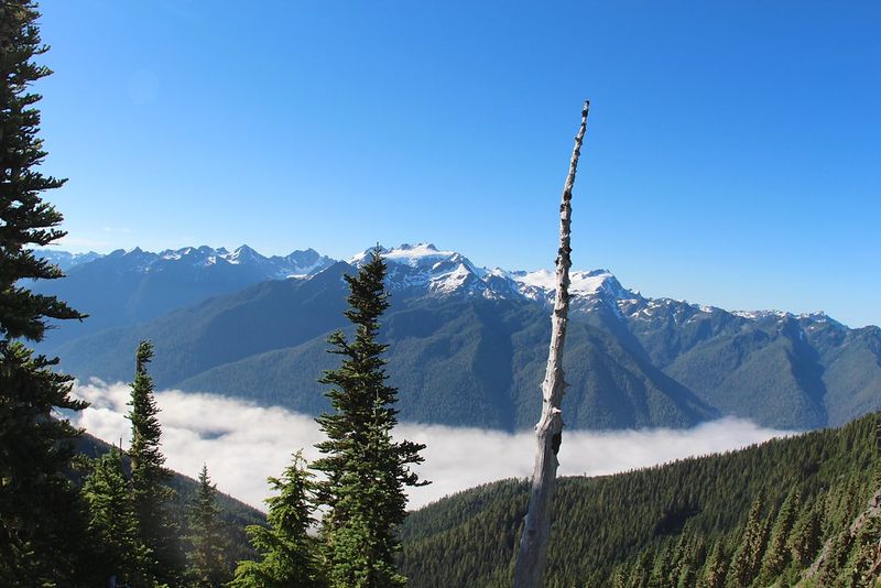 Olympic Peninsula Loop, Washington