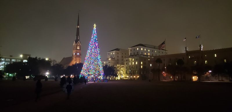 South Carolina – Charleston Marion Square Tree