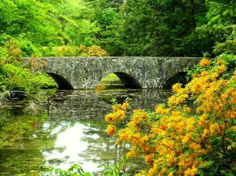 Merrimack River Vistas and Water Moments