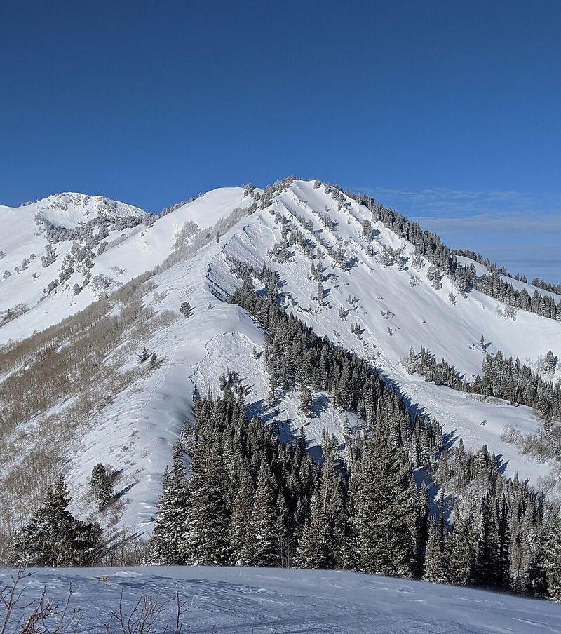 Utah’s Wasatch Mountains