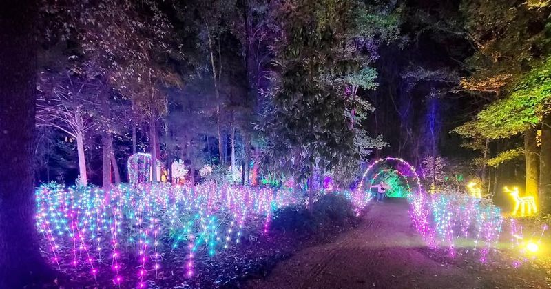 Galaxy of Lights (Huntsville Botanical Garden, AL)