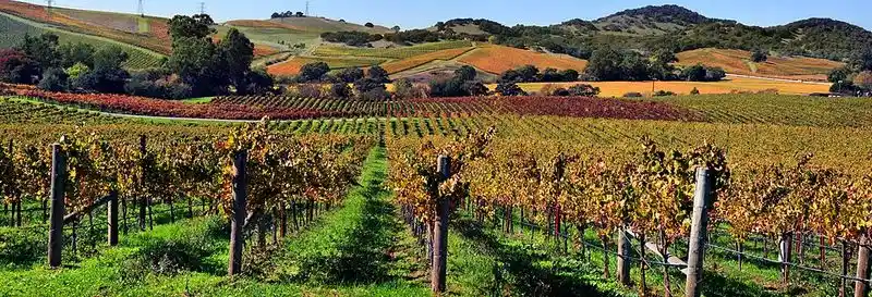 Napa Valley / Sonoma Foothills, California