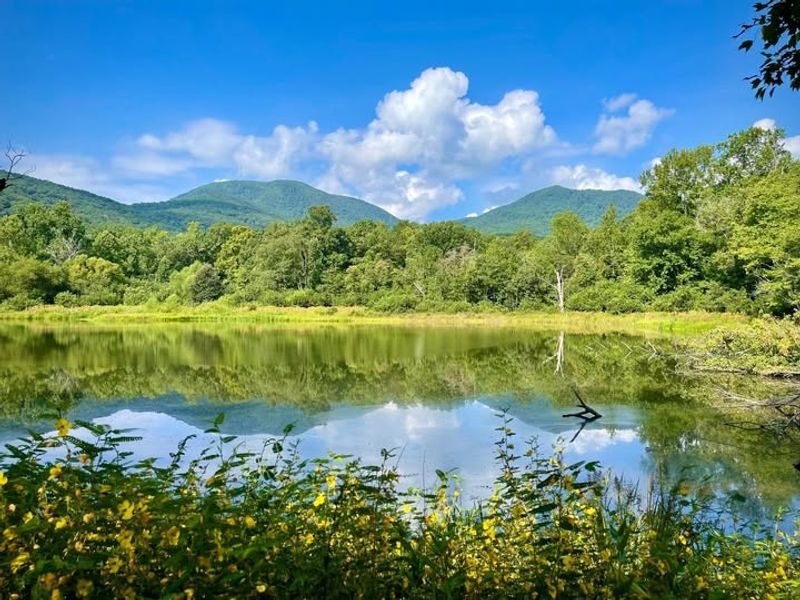 Day-Trip Launchpad to Mountain Vistas