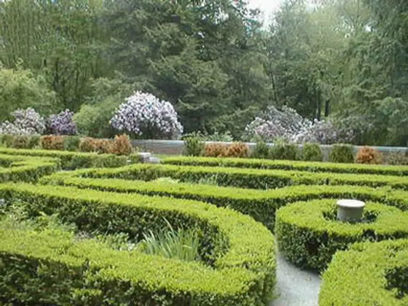 Rhododendron and Mountain Laurel Spectacle