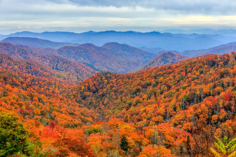Great Smoky Mountains National Park – Tennessee/North Carolina