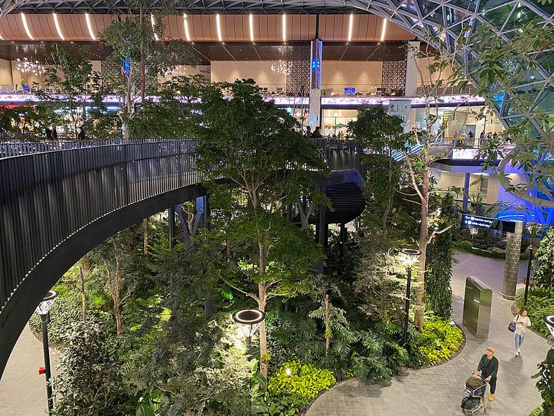 Hamad International Airport Doha - The Orchard and Central Concourse