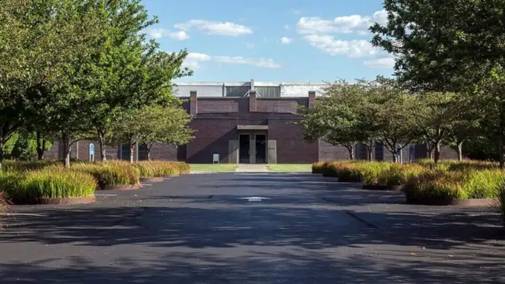 Skip the Met, because 7 New York museums are quietly redefining contemporary art