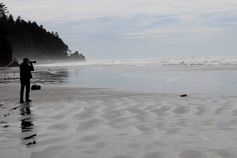 Olympic Peninsula Beaches, Washington
