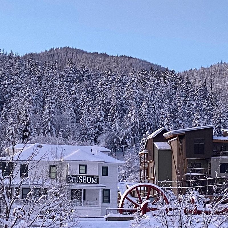 Local Dining Delights