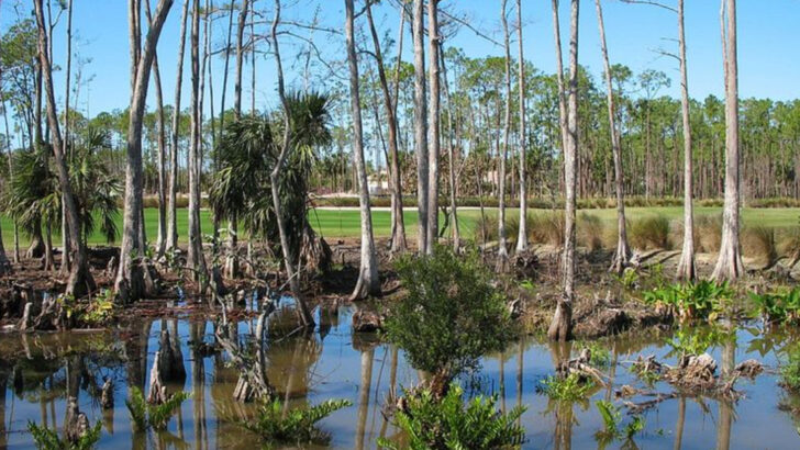 Snowbirds are reshaping these 14 warm-weather towns that used to slow down after summer