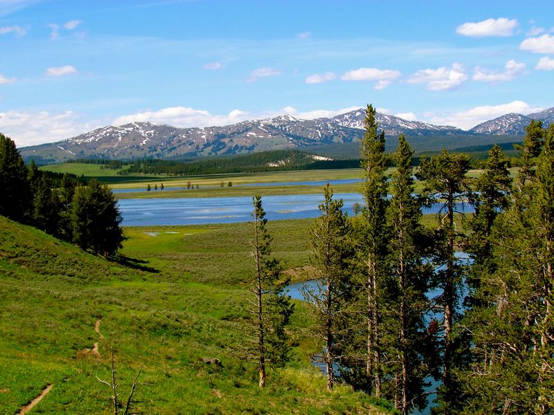 National Park Trip — Cody, Wyoming (Gateway to Yellowstone)