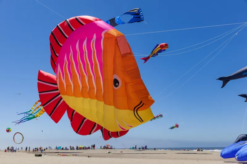 Kite Festival, Lincoln City, Oregon