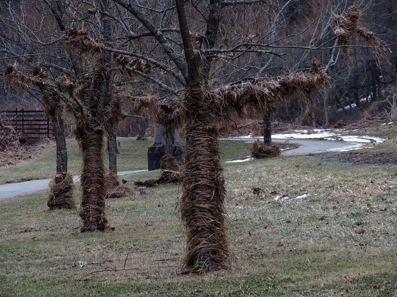 The Boone Greenway Trail