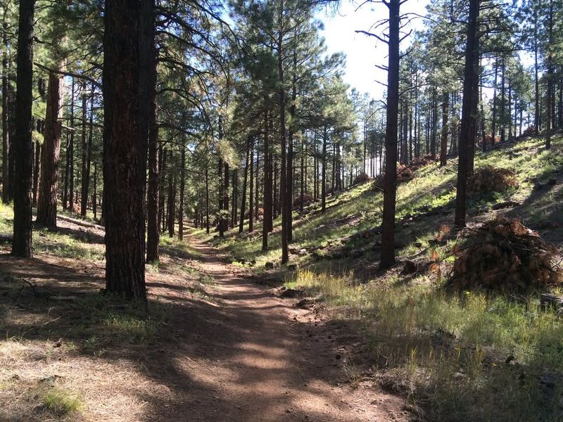 Flagstaff Urban Trail System (FUTS) and Buffalo Park
