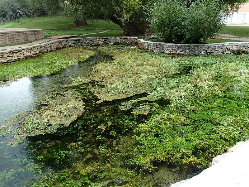 Big Spring Creek: The Town’s Signature Waterway