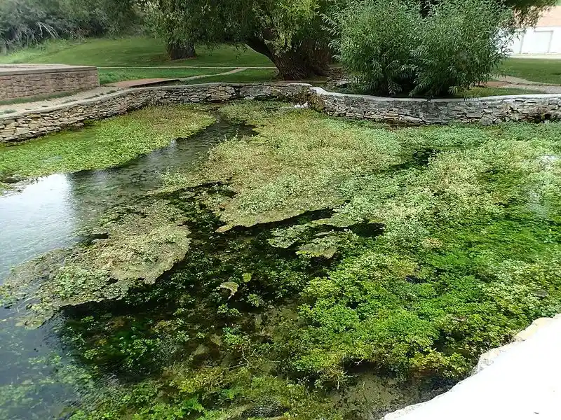 Big Spring Creek: The Town’s Signature Waterway