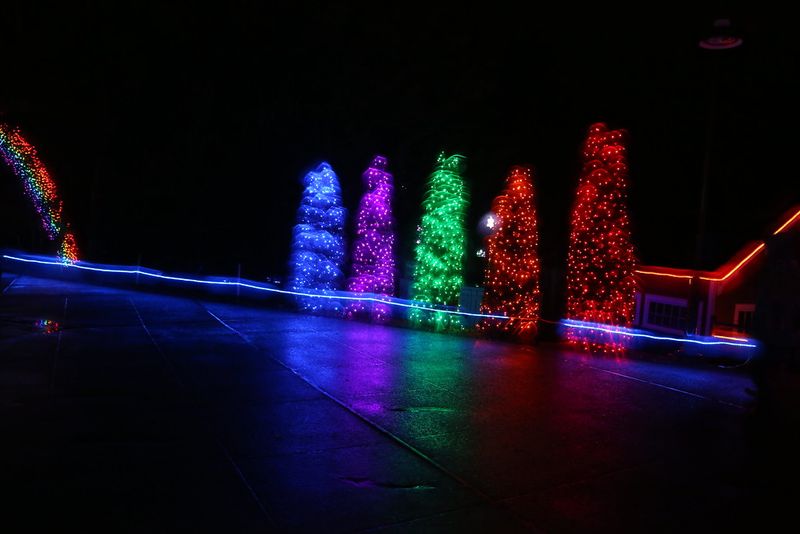 Enjoy ZooLights at Point Defiance Zoo & Aquarium