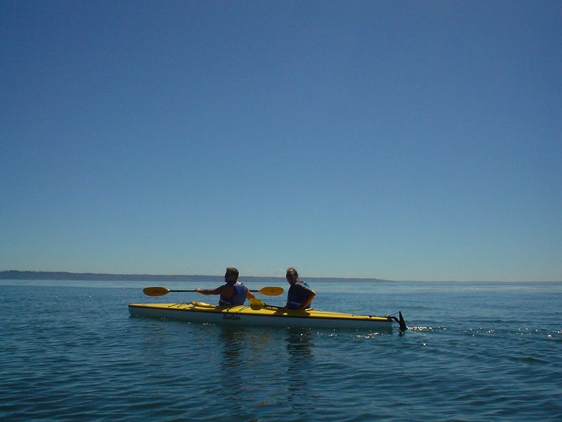Enjoy Whale Watching or Kayaking