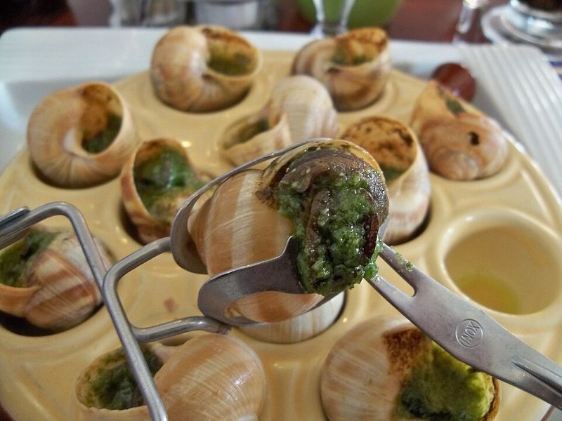 Escargot — Burgundy