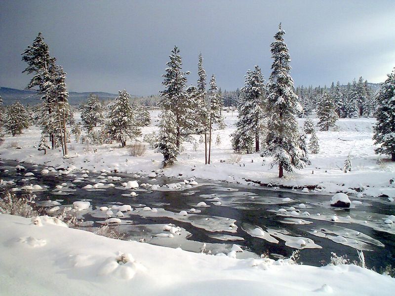 Truckee, California