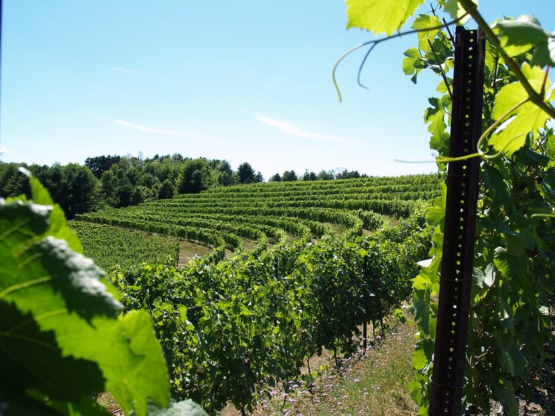 Leelanau Peninsula / Traverse City, Michigan