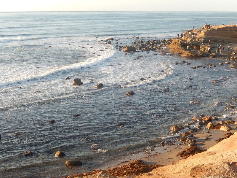 Cabrillo Tide Pools (Point Loma)