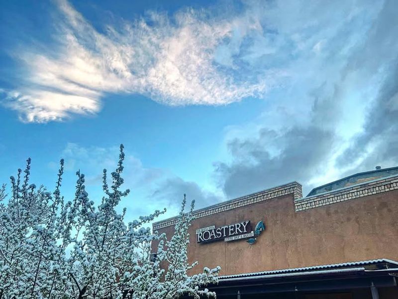 Buena Vista Roastery Café