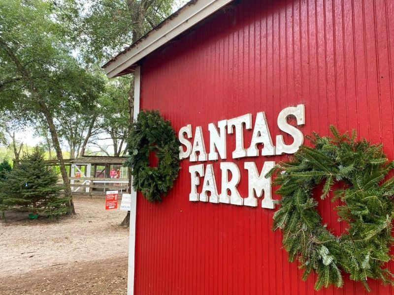 Santa's Farm