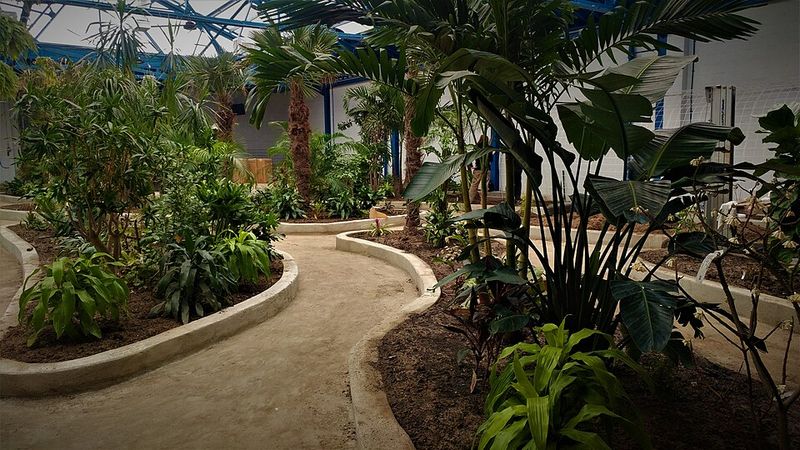 The Butterfly Pavilion