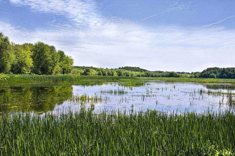 Great Meadows National Wildlife Refuge
